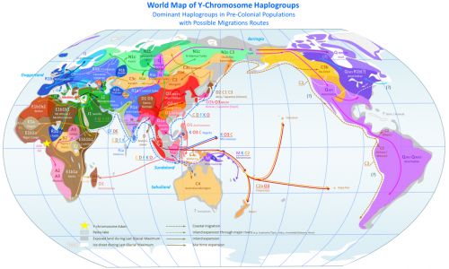 World_Map_of_Y-DNA_Haplogroups