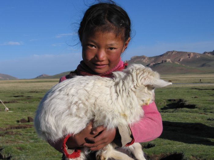 nomad girl and sheep, 2006