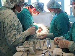 Справка о состоянии хирургической и анестезиологической-реанимационной службы