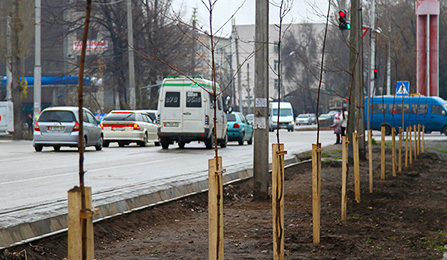 Задачи и перспективы развития парков Бишкека
