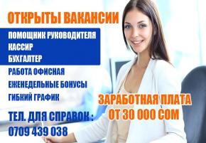 Открыты Вакансии : Помощника руководителя, бухгалтера, кассира. Высокая оплата. Гибкий график. Не сетевой маркетинг