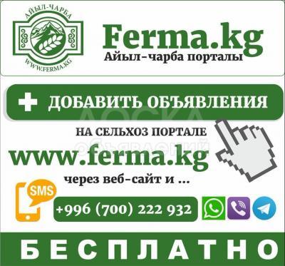 Баардыгы ферма учун - Всё для фермы