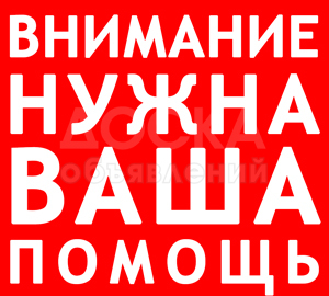 Срочно требуется донор почки в Кыргызстане только Ватсапп +905399531175