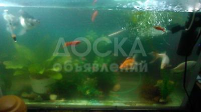Срочно!!!