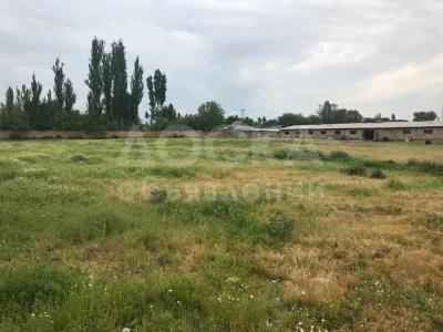 Продаю участок сельхоз назначения, 10га га село Петровка.