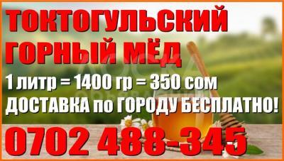 Продаю Токтогульский горный мёд.