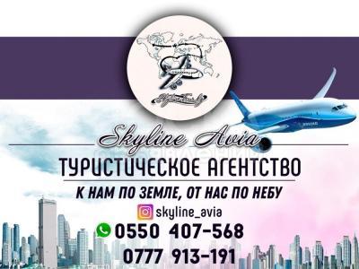 Туристическое агентство «Skyline Avia»
