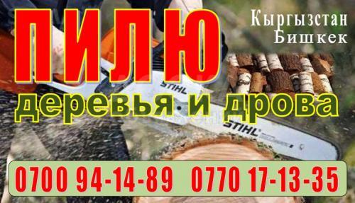 Пилю деревья и дрова.