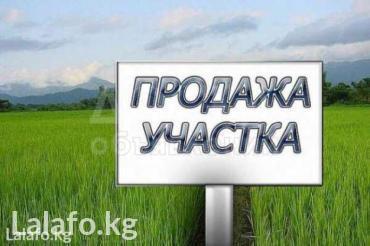 Продаю участок сельхоз назначения, 5 га Бишкек.