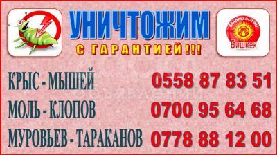 Уничтожаем крыс,мышей,клопов,тараканов,муравьев,моль.