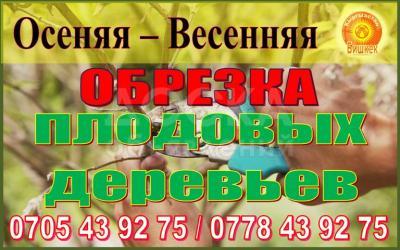 Осенняя/Весенняя обрезка плодовых деревьев