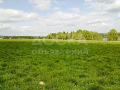 Продаю участок сельхоз назначения, 3 га Село Военно-Антоновка .