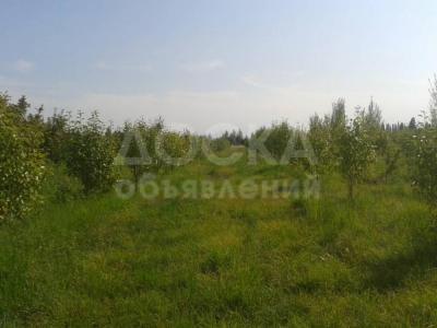 Продаю участок сельхоз назначения, 2,5 га Ананьево .