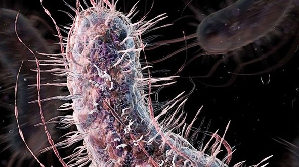 Новая синтетика. Биологи приблизились к созданию искусственных форм жизни