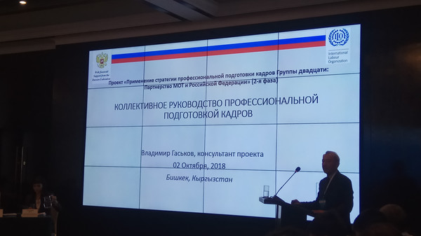 Национальный совет по профподготовке не влияет на политику профессионального образования в Кыргызстане, - российский эксперт