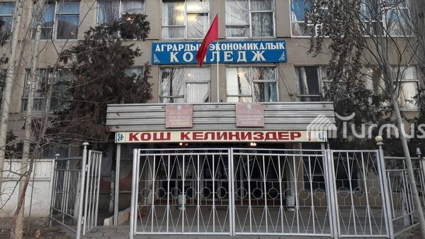 Министерство образования проверит качество воспитательной работы в Таласской области, где в драке между школьниками и студентами умер парень