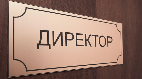 В директора школ на конкурсной основе. Минобразования подготовило законопроект и разработало критерии для директоров