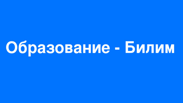 Депутат ЖК пожаловался на то, что не может точно перевести на кыргызский язык слово «образование»
