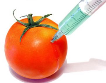 Что такое ГМО и ГМП?