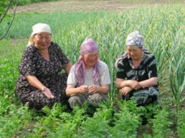 Органическое сельское хозяйство – будущее Кыргызстана