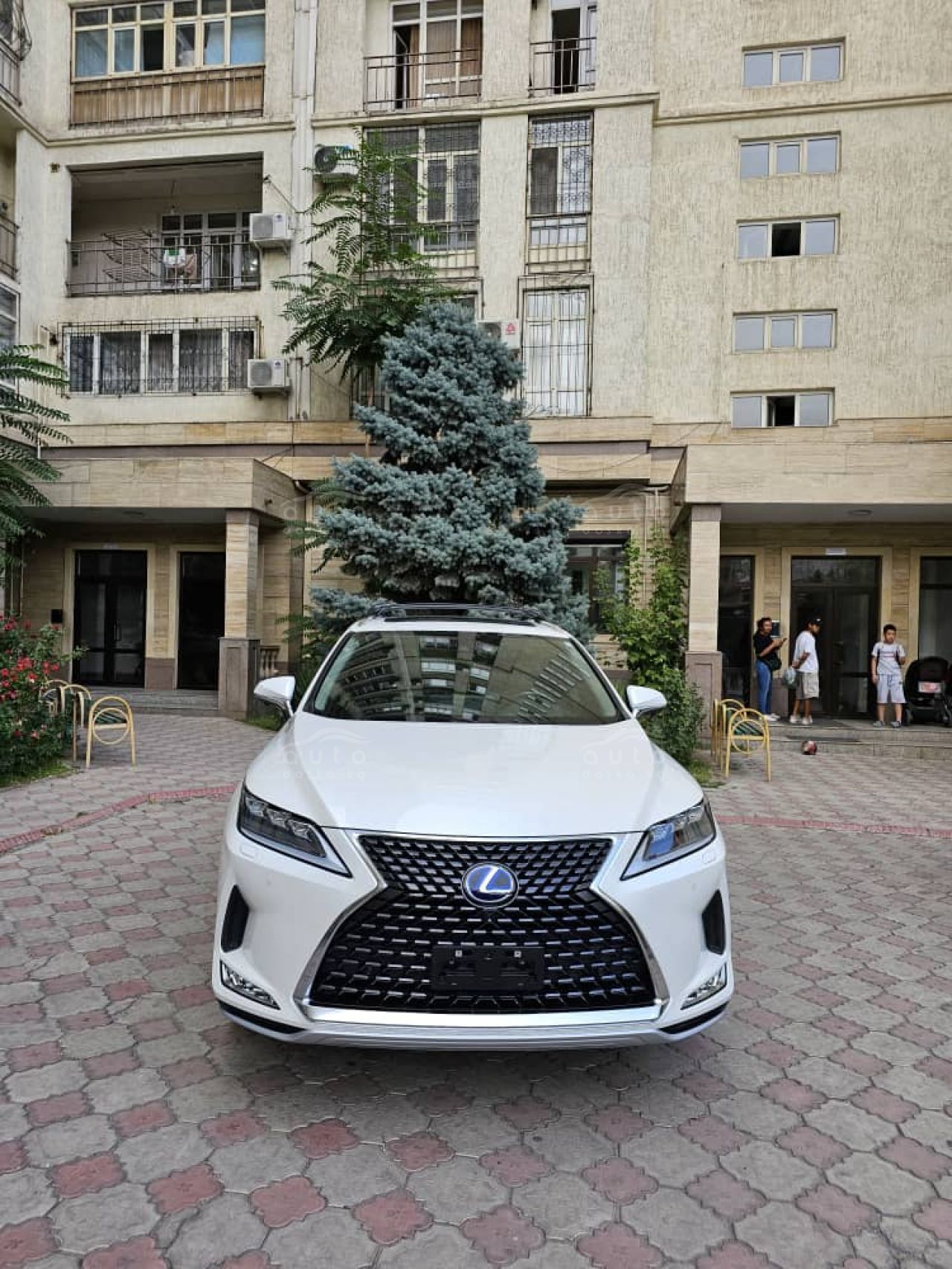 Lexus 360. Лексус 360. лексус 360 фото.