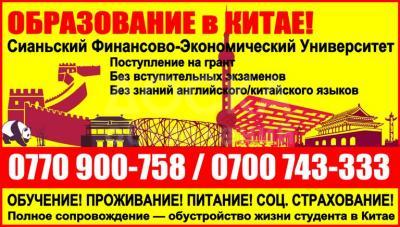 знание китайского. в китай без знания языка. знание китайского. в китай без знания языка. хосте это для китайцев.