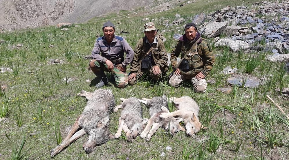 Охота на таджиков. Охота на Волков Таджикистане.