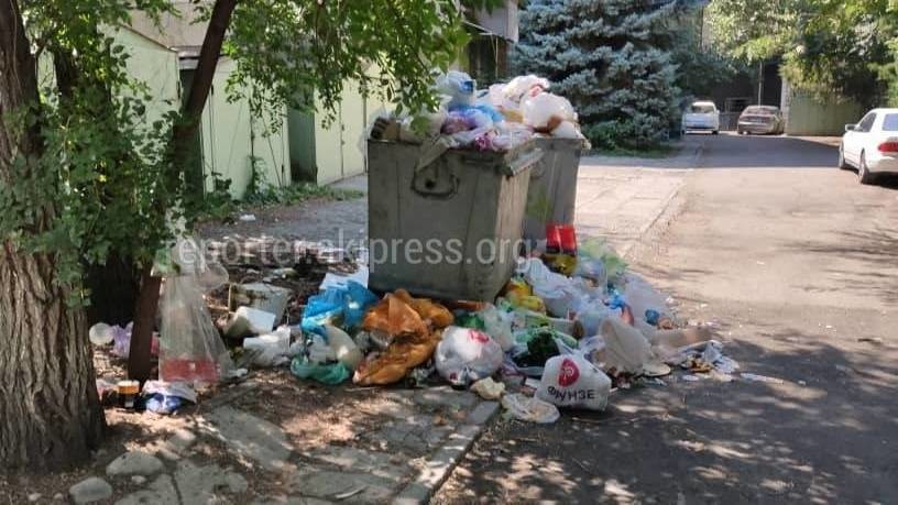 Фото мусора по улице Фрунзе, 497. Снимок сделан в начале августа 2022 года