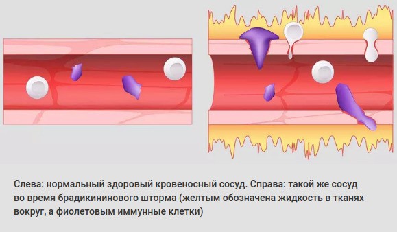 Исследование Оак-Раджинской лаборатории