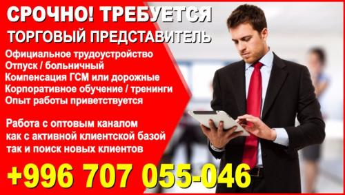 Требуется торговый представитель костанай. Требуется торговый представитель. Вакансия торговый представитель. Торговый представитель автозапчасти. Официальное трудоустройство