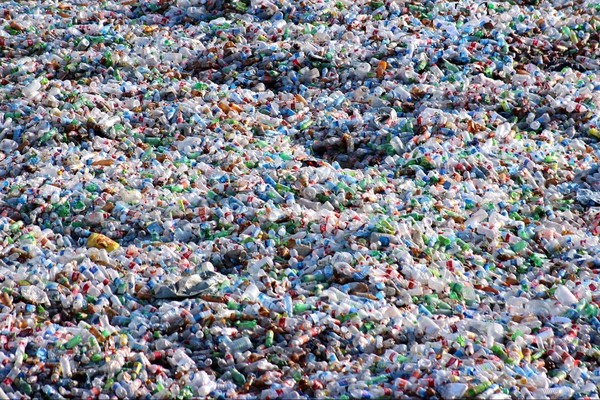 Ученые нашли способ защиты природы от пластика, не запрещая их использование — Экология АКИpress