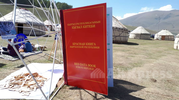Фото — Двухметровая Красная книга редких животных Кыргызстана — Экология АКИpress