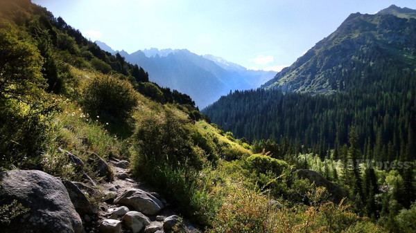 В национальных парках и заповедниках Кыргызстана появятся камеры видеонаблюдения — Экология АКИpress