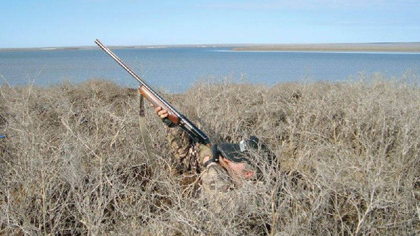 ГАООС и ЛХ намерено усилить контроль за охотничьими угодьями в Чуйской области — Экология АКИpress