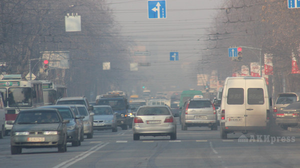 Летом в Кыргызстане снизили таможенные ставки на электромобили для борьбы с парниковыми газами, - ГАООСиЛХ — Экология АКИpress