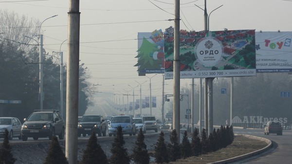 В Бишкеке воздух более загрязнен, чем в Пекине, - эколог Б.Стакеева — Экология АКИpress