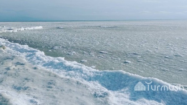 Морозы сковали льдом берег Иссык-Куля. Фотографии очевидцев — Экология АКИpress