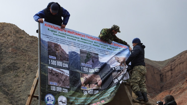 В Боомском ущелье установили панно о размерах штрафов за отстрел животных Кыргызстана — Экология АКИpress