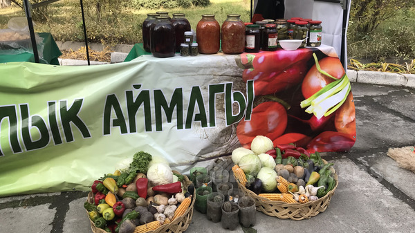 В Бишкеке проходит ежегодная выставка-ярмарка органической и натуральной продукции — Экология АКИpress