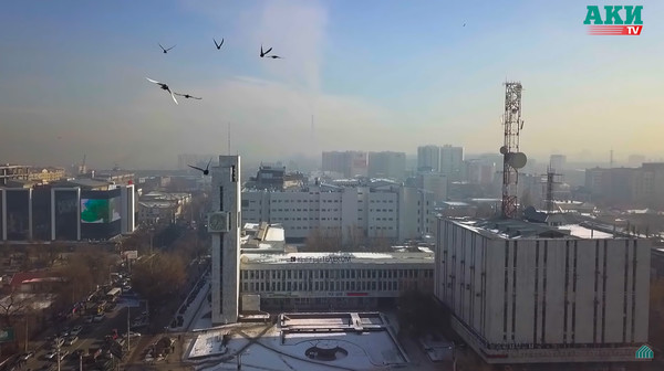 В 2018 году в Бишкеке наложено штрафов на 485 тыс. сомов по загрязнению воздуха — Экология АКИpress