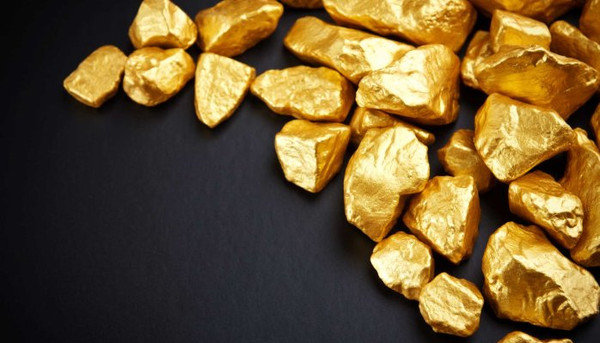 Ради добычи 11 кг золота компании «Полюс Голд Кей Джи» дали 623 га пойменного леса — Экология АКИpress