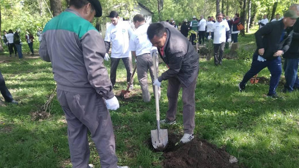 Фото — В Бишкеке прошли общегородские субботники — Экология АКИpress