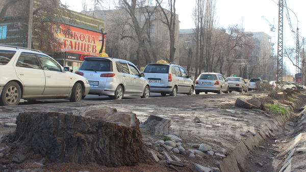 В Бишкеке массовой вырубки деревьев нет, - вице-мэр — Экология АКИpress