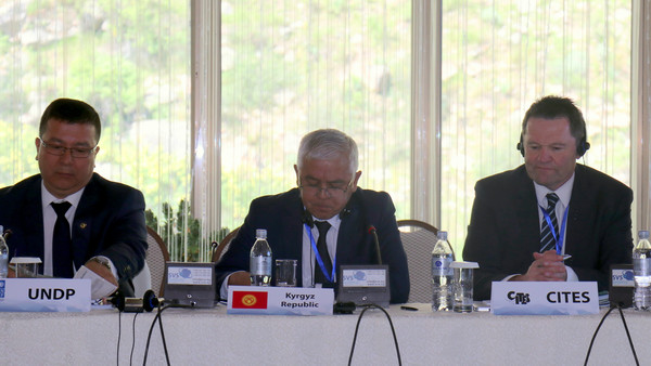В Бишкеке завершился международный форум по противодействию незаконной торговле дикими животными и растениями — Экология АКИpress