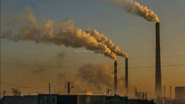 ГАООСиЛХ уверяет, что 90% загрязнения воздуха в Бишкеке приходится на автомашины — Экология АКИpress