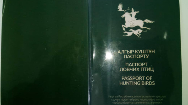 Фото – ГАООСиЛХ утвердил паспорт ловчей хищной птицы и скоро объявит конкурс на его изготовление — Экология АКИpress